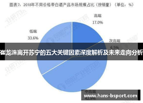 崔龙洙离开苏宁的五大关键因素深度解析及未来走向分析