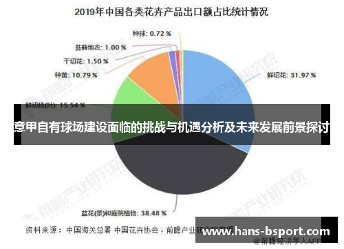 意甲自有球场建设面临的挑战与机遇分析及未来发展前景探讨