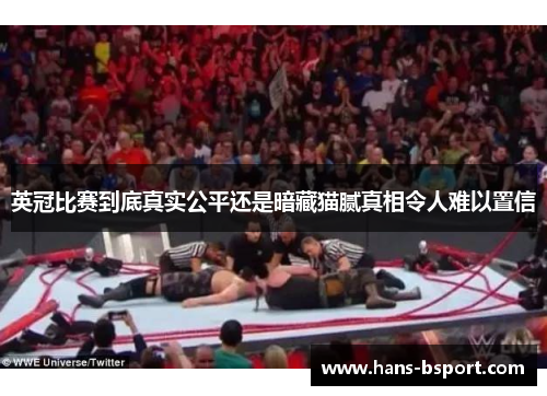 英冠比赛到底真实公平还是暗藏猫腻真相令人难以置信