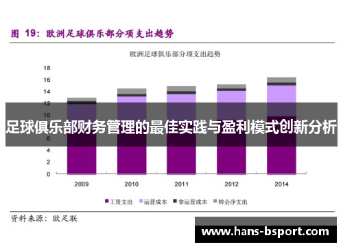 足球俱乐部财务管理的最佳实践与盈利模式创新分析