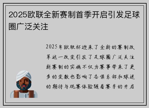 2025欧联全新赛制首季开启引发足球圈广泛关注